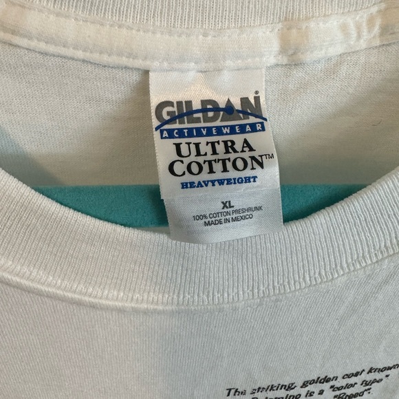 Horse T-Shirt - Picture 3 of 5